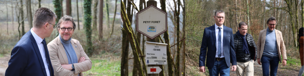 Depuis le printemps 2022, le botaniste Francis Hallé et son association ambitionnent de créer une forêt primaire de 70 000 hectares dans les Ardennes belges et françaises. Cette forêt primaire transfrontalière, qui s'étendrait jusqu'au Parc Naturel Régional des Ardennes, resterait intacte et préservée de toute activité humaine pendant environ 800 ans.